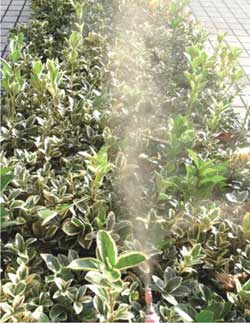 旋流噴嘴噴霧現(xiàn)場(chǎng)圖